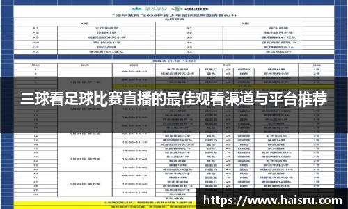三球看足球比赛直播的最佳观看渠道与平台推荐